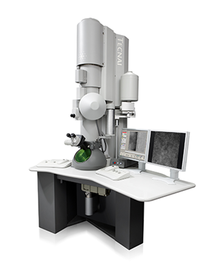 Tecnai G2 Spirit Twin